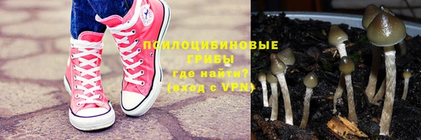 марки nbome Бородино